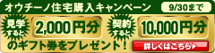 キャンペーン