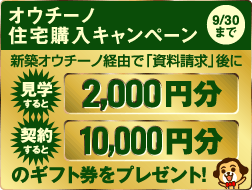 キャンペーン