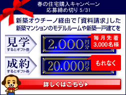 キャンペーン