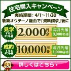 キャンペーン