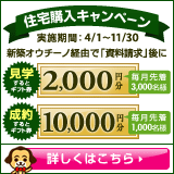 キャンペーン