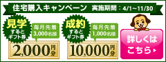 キャンペーン