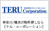 テル・コーポレーション